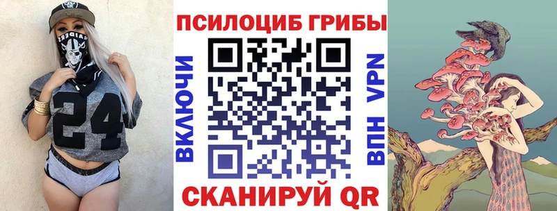 Галлюциногенные грибы Magic Shrooms  Купить где  Заозёрск 